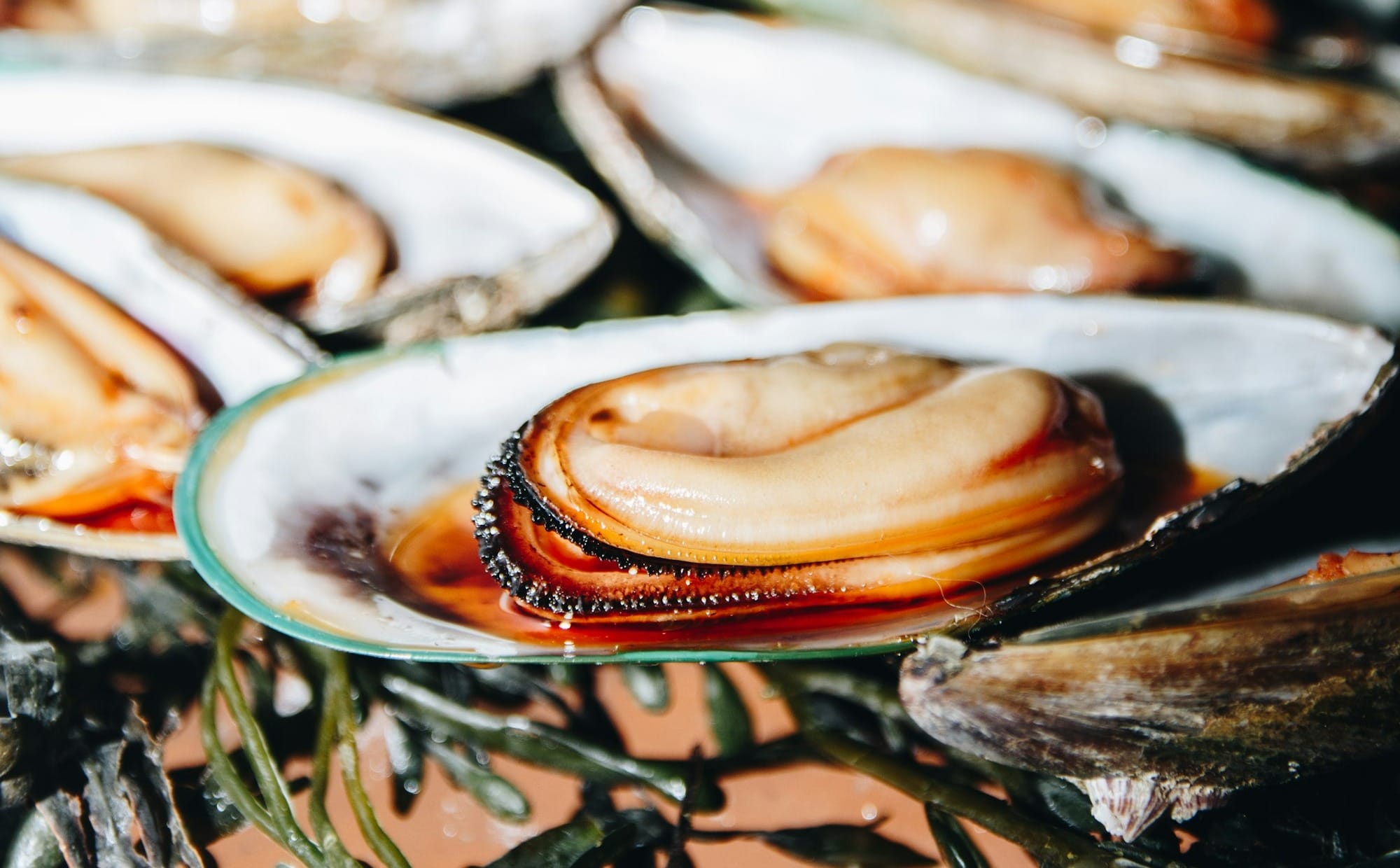 roasted mussels over a bed of seaweed