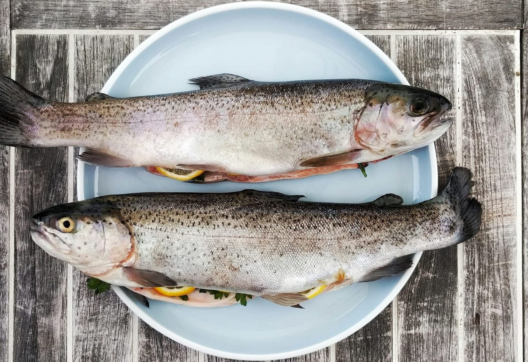 two trout on a round white ceramic plate