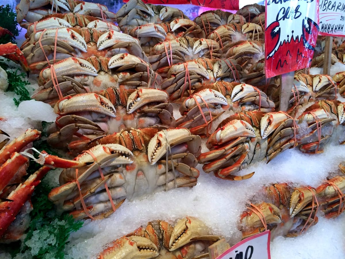 Crabs stored over ice
